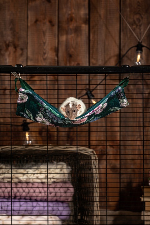 Kraina Tuptusia hamak dla fretki 30x50cm