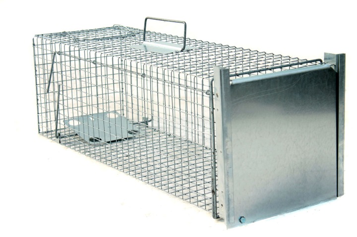 żywołapka pułapka lisy kuny wydry bobry koty