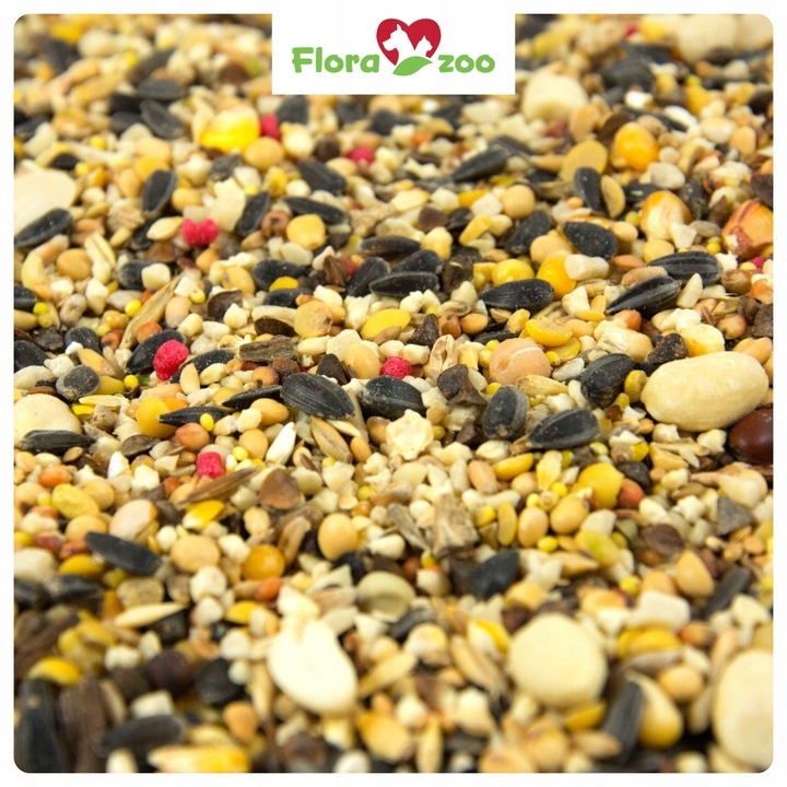 KARMA POKARM ZIARNO SŁONECZNIK DO KARMNIK DLA DZIKICH PTAKÓW ZIMUJĄCYCH