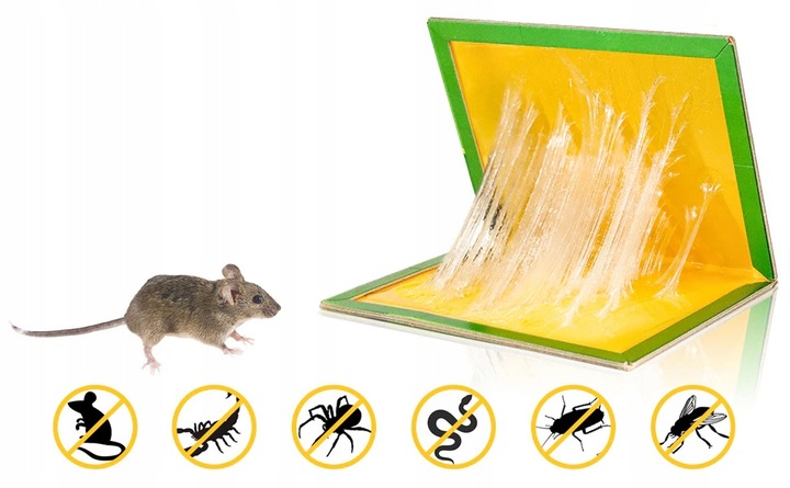 30x SILNY LEP NA MYSZY PUŁAPKA Z KLEJEM ŁAPKA SZCZURY MYSZOŁAPKA