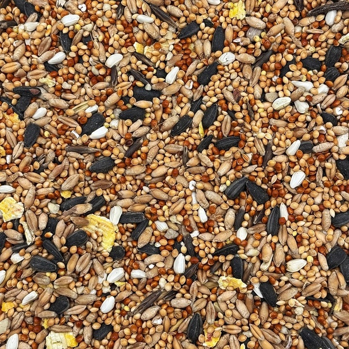 MIX DLA PAPUG FALISTYCH i ŚREDNICH Karma 20kg Nimfa Rozella STANDARD