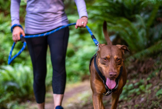SZELKI GUARD DLA PSA REGULOWANE MOCNE BEZUCISKOWE WYGODNE PORZĄDNE roz. L