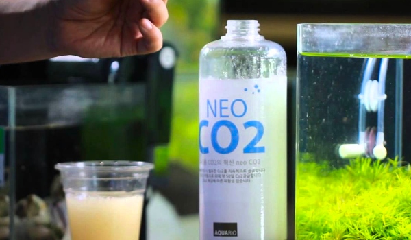 INVITAL Generator CO2 bez nocnego wył. z butlą 2l