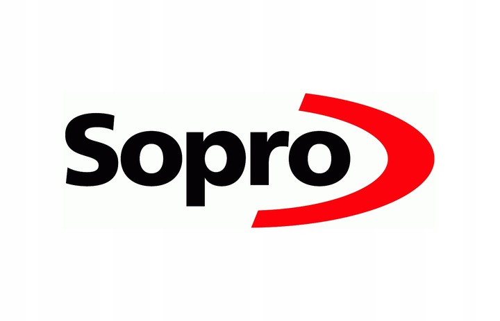SOPRO SILIKON 310 ML BEŻ JASNY BEŻ 29
