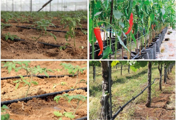 Linia kroplująca 16mm 100m BRĄZOWA kompensacja Super Wydajna Wąż Kropelkowy