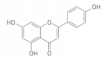 PROTON LABS Apigenina 15g CZYSTY PROSZEK Apigenin 98-99% PURE