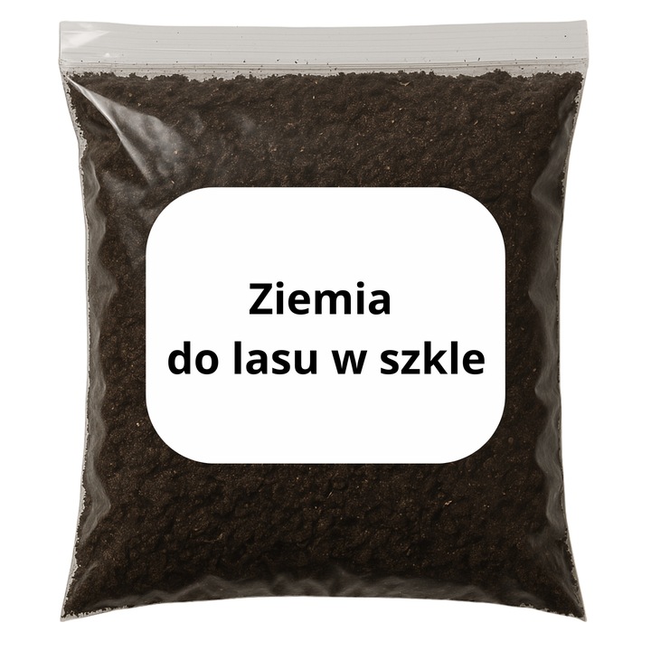 LAS W SŁOIKU SZKLE KOMPLETNY 10 elementów Z ROŚLINKĄ I KULA SŁÓJ ZESTAW