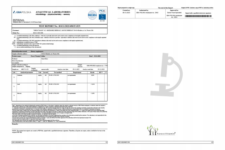 FOREST URYDYNA 60 kaps ALZHEIMER PAMIĘĆ DEPRESJA