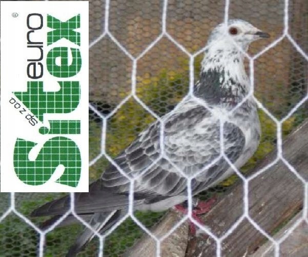 Siatka na woliery ogrodzenia Izola hexagonalna 20/0,9 25Mb Ocynk w PVC