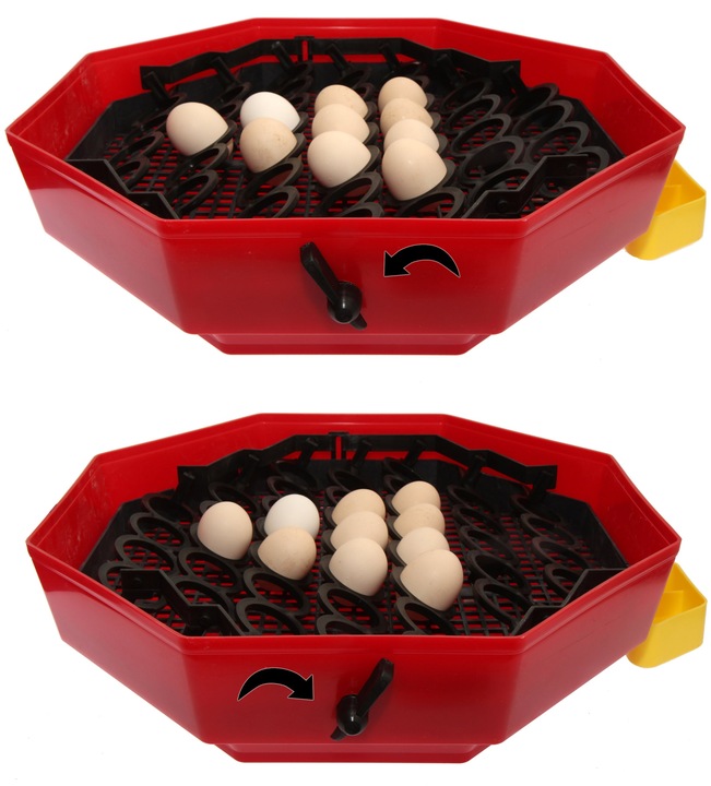 Inkubator wylęgarka na 60 jaj półautomat klujnik