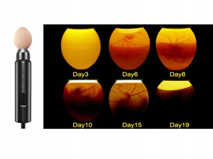 Wysokiej jakości AUTOMATYCZNY INKUBATOR na 30 jaj