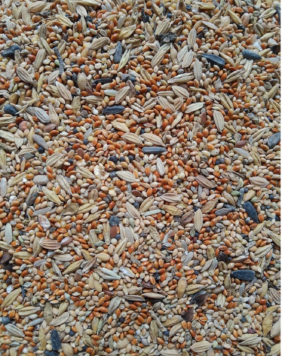 Karma dla dzikich ptaków gołębi drobne ziarno MIX ziaren 25kg