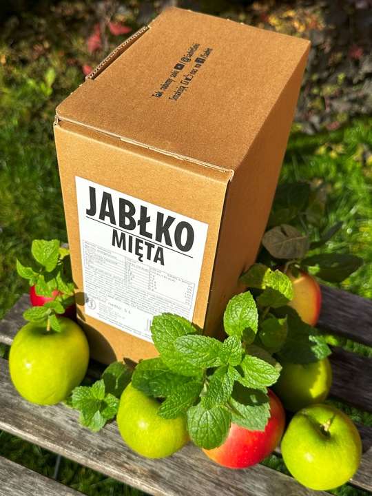 Sok jabłko mięta 100% jabłkowy z miętą NFC 5L na orzeźwiającą lemoniadę