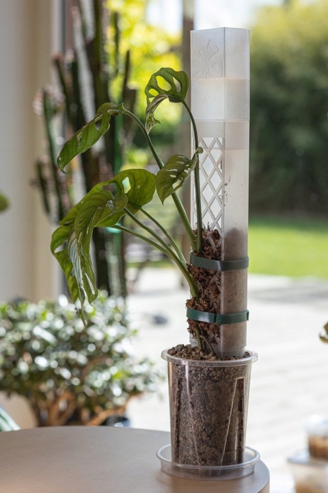 SPHAGROW AQUADRIP Nawadniacz kropelkowy do palika SPHAGROW D-6-25