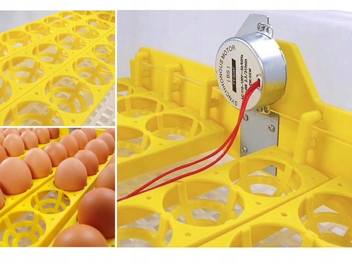 Kompletny zestaw INKUBATOR AUTOMATYCZNY DINO do 56 JAJ DROBIU Różne GATUNKI