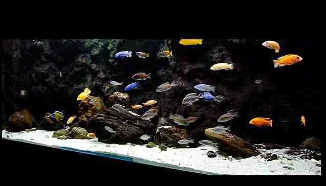 30 KG BIALY GRYS WAPIENNY DO AKWARIUM MALAWI 1-3mm