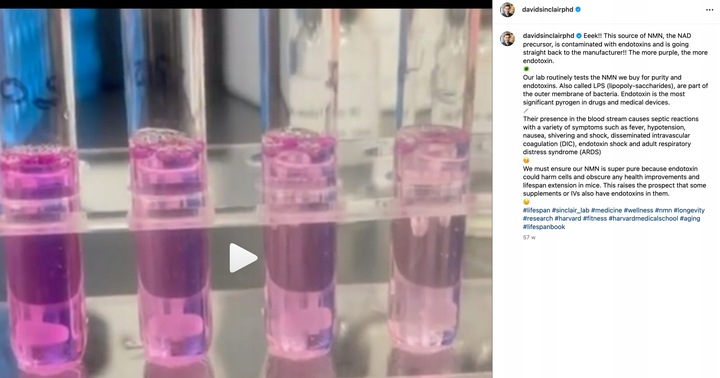 PROTON LABS NMN 15 g czysty proszek 100% mononukleotyd PRZEBADANY 100% pure