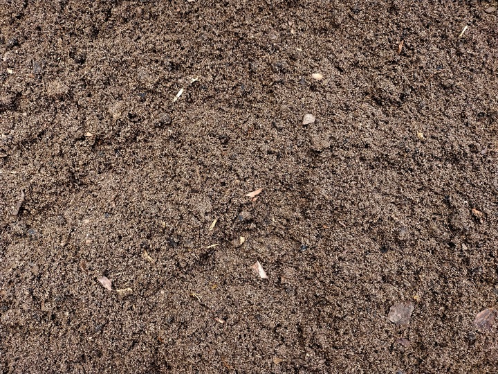 Podłoże dla żółwia greckiego stepowego do terrarium Testudo Soil Baby 25 L