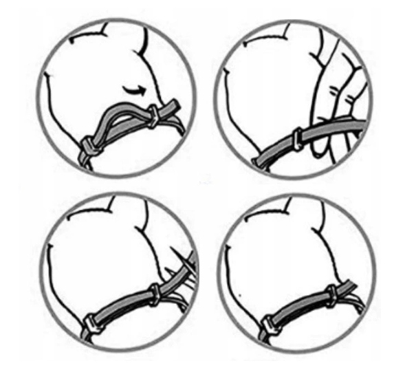 OBROŻA NA PASOŻYTY DLA KOTÓW 40CM 8 MIESIĘCY NATURALNE OLEJKI