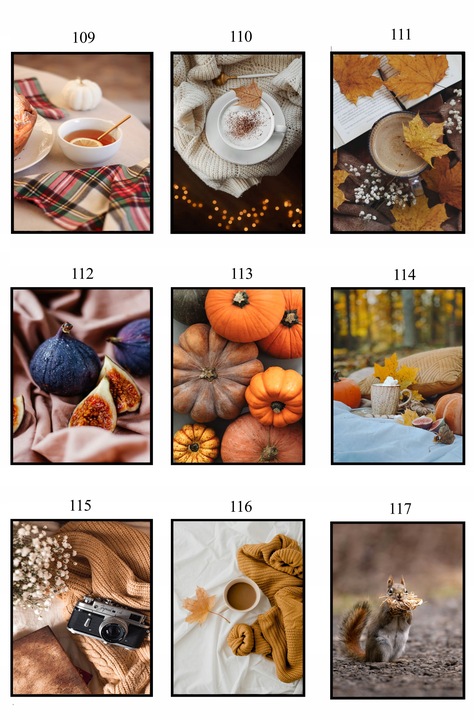 PLAKAT 40x50 JESIENNY poster DUŻO WZORÓW eviero do domu pejzaże na