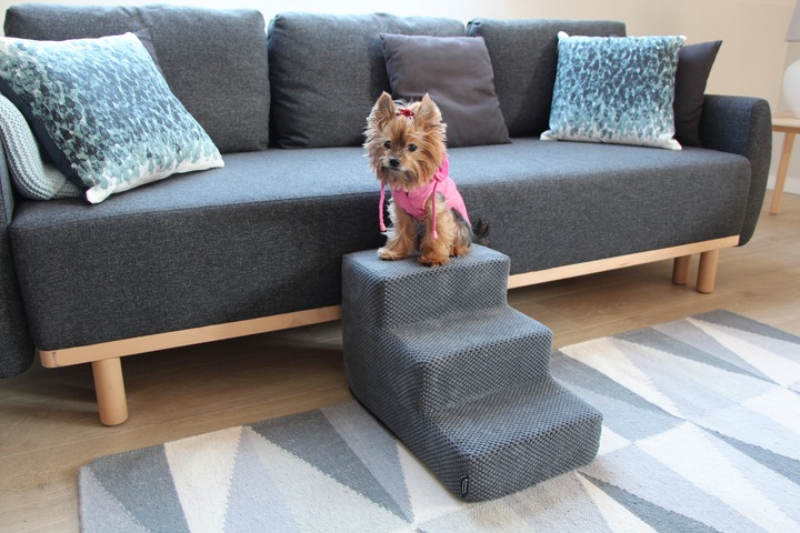 Schodki/schody dla psa