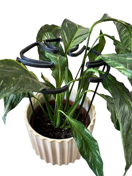 Podpórki do roślin kwiatów podpórka podpora obręcz RING MONSTERA M 33cm