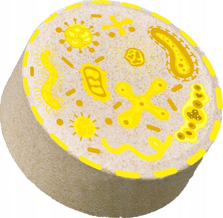 TABLETKI DO SZAMBA BAKTERIE DO OCZYSZCZALNI EKOLOGICZNEJ PREPARAT DO