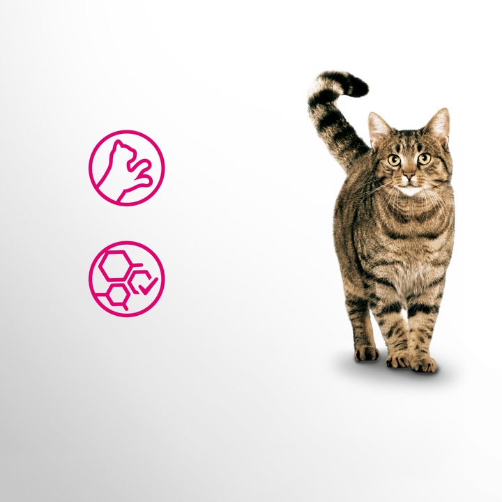 PERFECT FIT mokra karma dla kota mix w sosie 52x85g