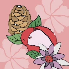 MEXX Black Woman EDT 15ml