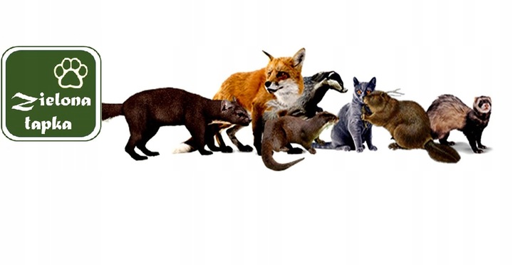 ODSTRASZACZ MYSZY KUN SZCZURÓW MOCNY ZMIENNY IMPULS ULTRAŹWIĘKOWY 230V