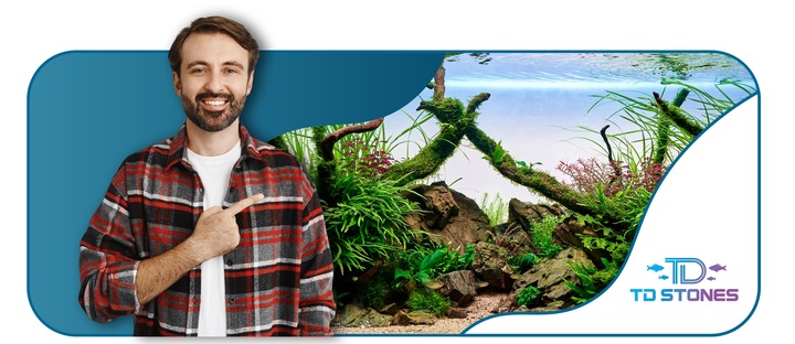 Podłoże Aktywne do Akwarium Siła Natury dla Twoich Roślin NATURE SOIL 3L