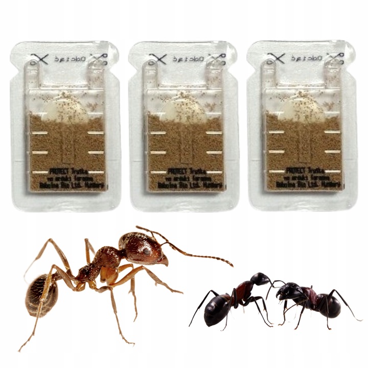 SILNY PROSZEK ŚRODEK PREPARAT TRUTKA NA MRÓWKI FARAONA PROTECT 3 SZT