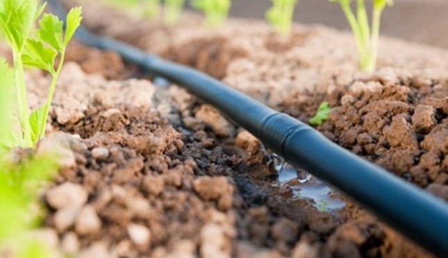 Linia kroplująca 100m + 50 szpilek /100 akcesoriów