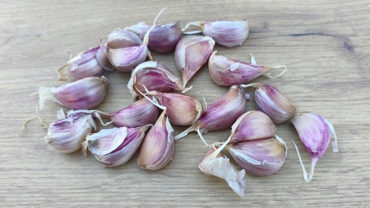 Czosnek Polski Harnaś zimowy 500g duże ząbki z własnej uprawy zdrowy