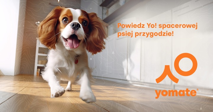 MAŁY PIES do 15 KG - LEKKA SMYCZ dla PSA / MOCNA TAŚMA ZWIJANA AUTOMATYCZNA