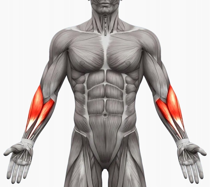 ŚCISKACZ DO RĄK DŁONI Z REGULACJĄ 10-100kg