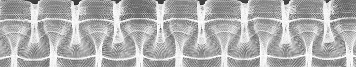 Taśma marszcząca smok żyłkowa marszczenie 1 do 2 wys. 5 cm krążek 50 mb