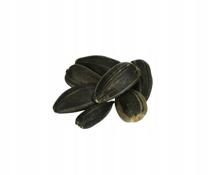 CZARNY SŁONECZNIK ZIARNO POKARM DLA PTAKÓW 5KG ZDROWY I POŻYWNY NA ZIMĘ