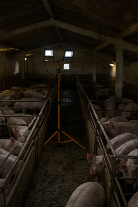 Halogen LED Statyw Budowlany Naświetlacz 2X 60W Zestaw Stojak RIWALL