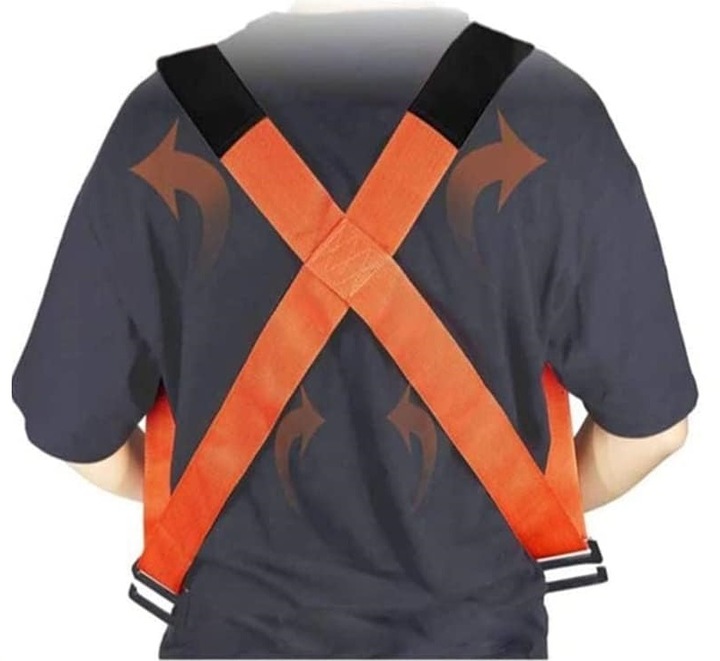 PASY DO NOSZENIA MEBLI TAŚMY TRANSPORTOWE PRZENOSZENIE NOWY MODEL 2