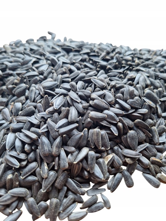 Słonecznik czarny 14 kg pokarm dla papug karma dla ptaków GRTIS kula tluszc