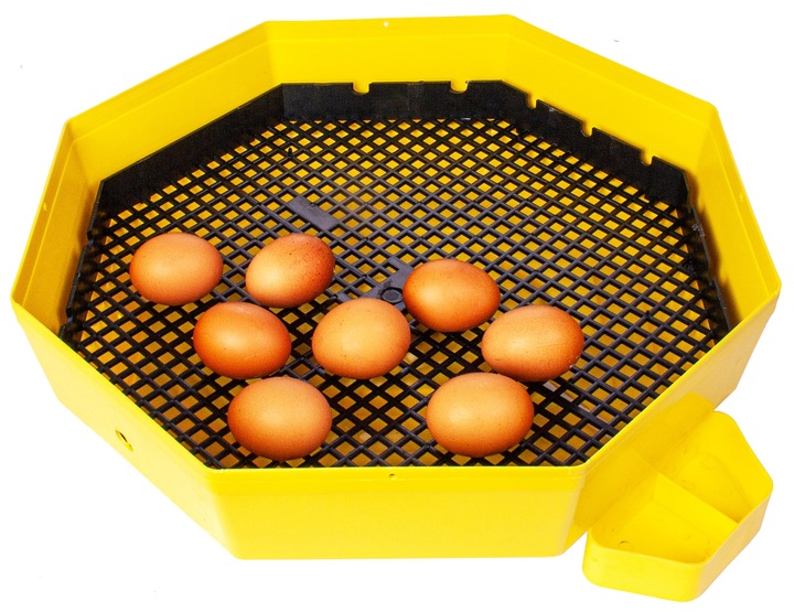 INKUBATOR 60 JAJ WYLĘGARKA KLUJNIK TERMOMETR HIGROMETR CLEO 5 DTHE