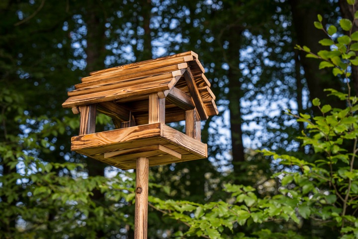 Karmnik Dla Ptaków Na Ziarno Duży Stojący Opalany Solidny + Słonecznik