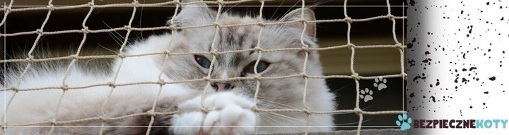 ZESTAW SIATKA NA BALKON DLA KOTA 5x3 BEZ WIERCENIA MARKA BEZPIECZNE KOTY