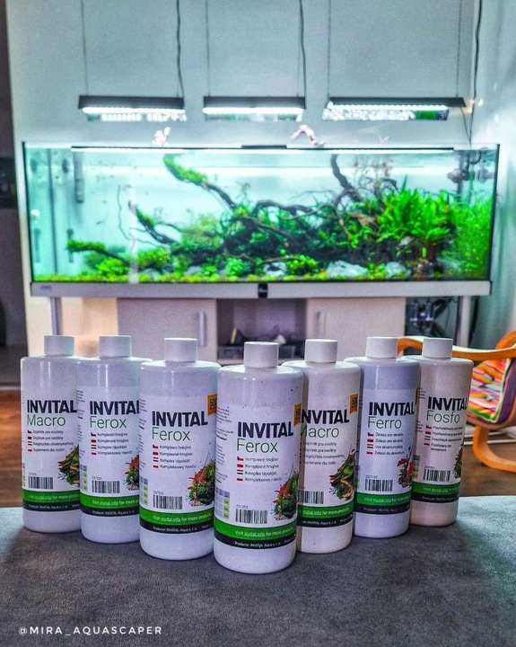 INVITAL Carbon 500ml