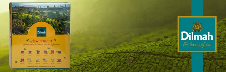 Herbata DILMAH PICK & MIX TEA 240 torebek