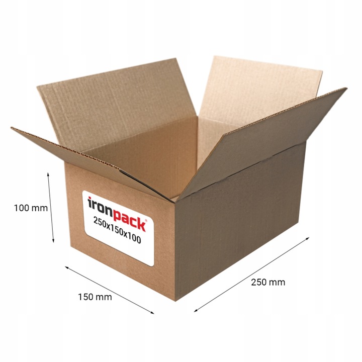 KARTON KLAPOWY 250x150x100 mm Pudło 50 SZT