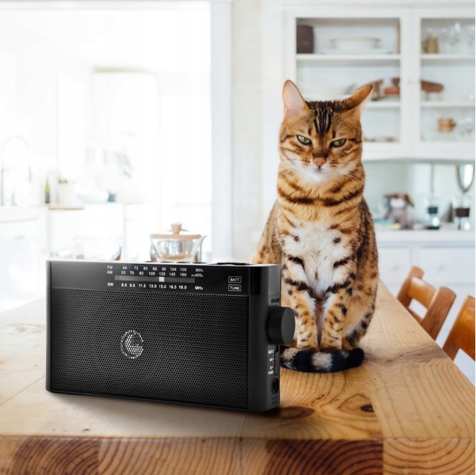 RADIO KUCHENNE DOMOWE PRZENOŚNE NA AKUMULATOR FM AM BLUETOOTH MICRO SD