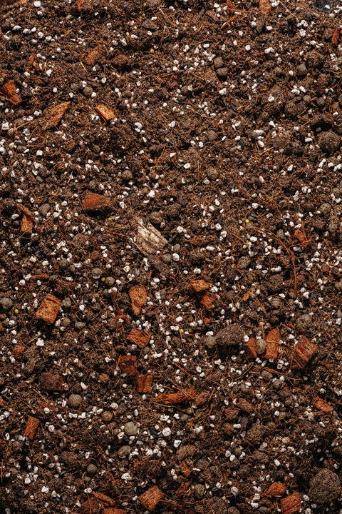 Ziemia do PALM, CYKASA, JUKI, DRACENY i FIKUSA 5L bigos, podłoże