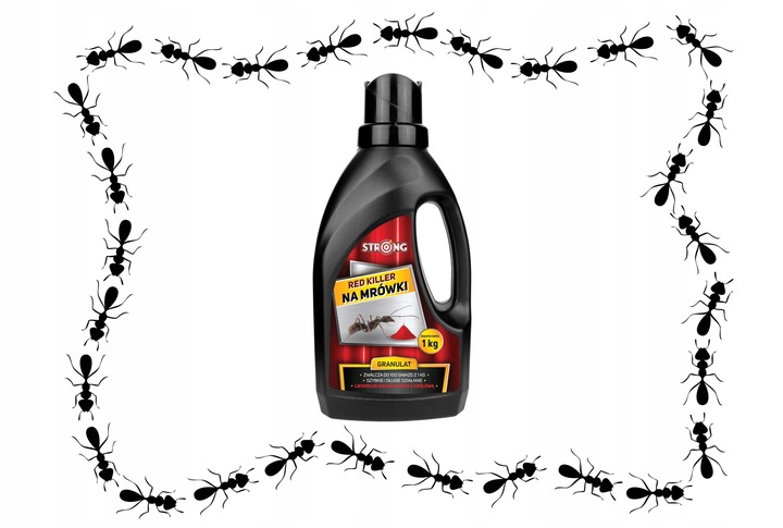 SILNY PROSZEK NA MRÓWKI W DOMU I OGRODZIE 1 KG